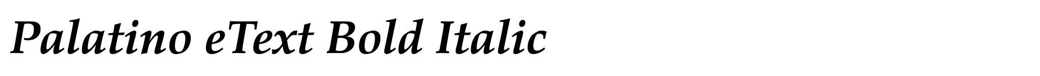 Palatino eText Bold Italic image